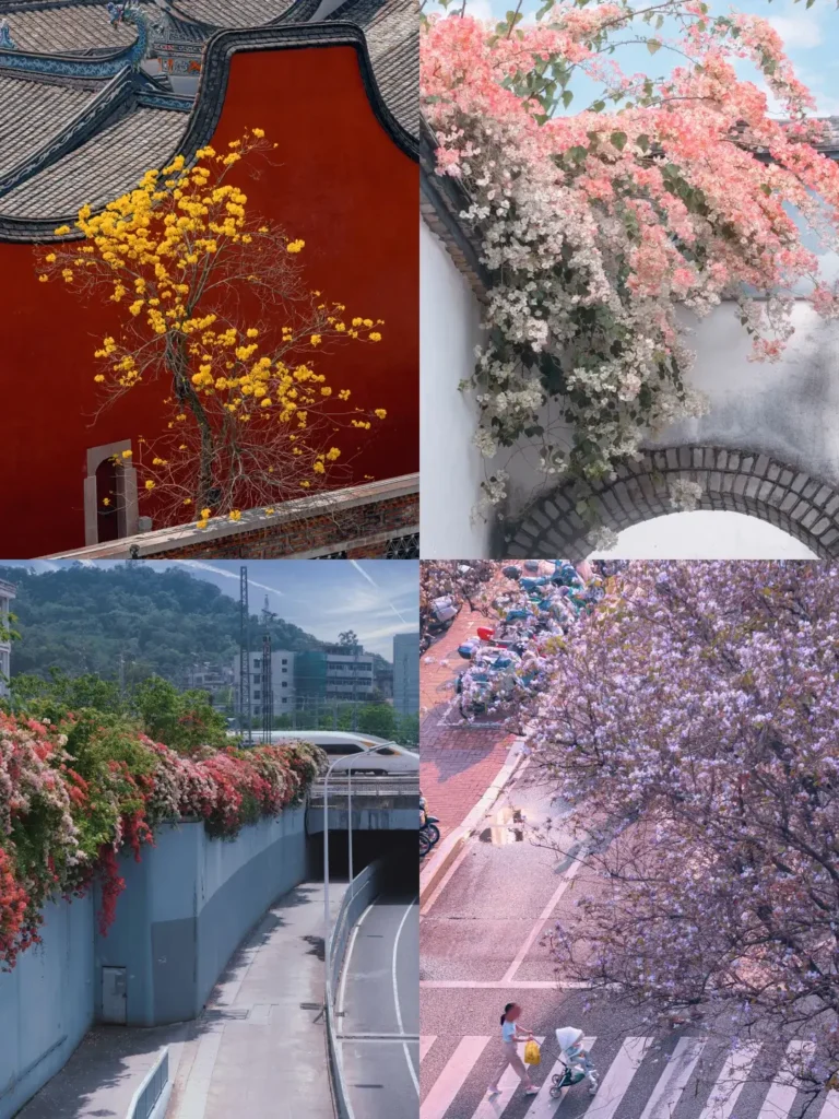 Fuzhou itinerary
Fuzhou travel guide
Fujian travel
Sanfang Qixiang
Min cuisine