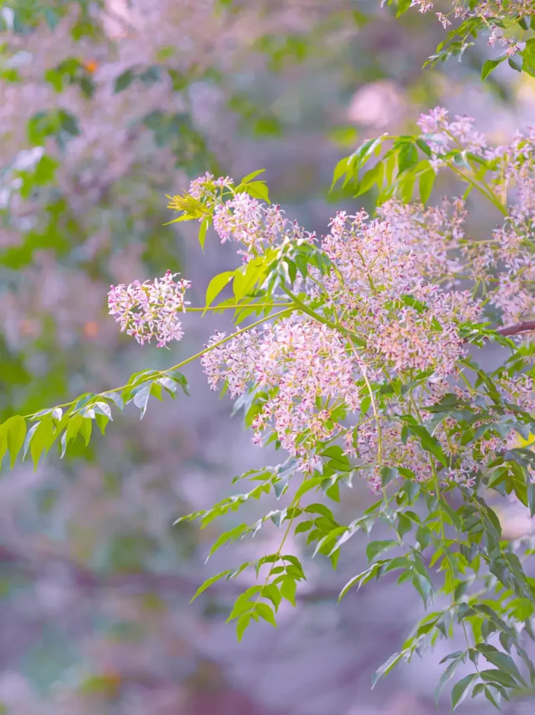 Fuzhou itinerary
Fuzhou travel guide
Fujian travel
Sanfang Qixiang
Min cuisine