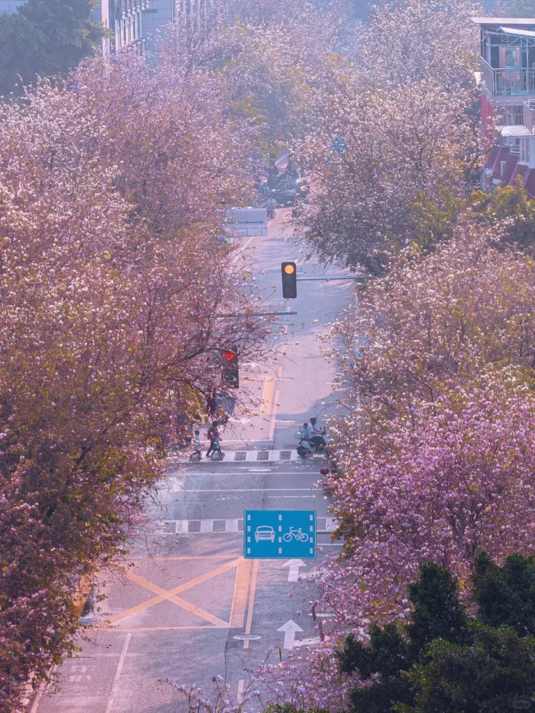 Fuzhou itinerary
Fuzhou travel guide
Fujian travel
Sanfang Qixiang
Min cuisine
Fuzhou hot springs