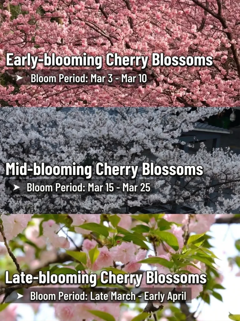 Hangzhou travel guide
Things to do in Hangzhou
Hangzhou 7-day itinerary
Hangzhou culture