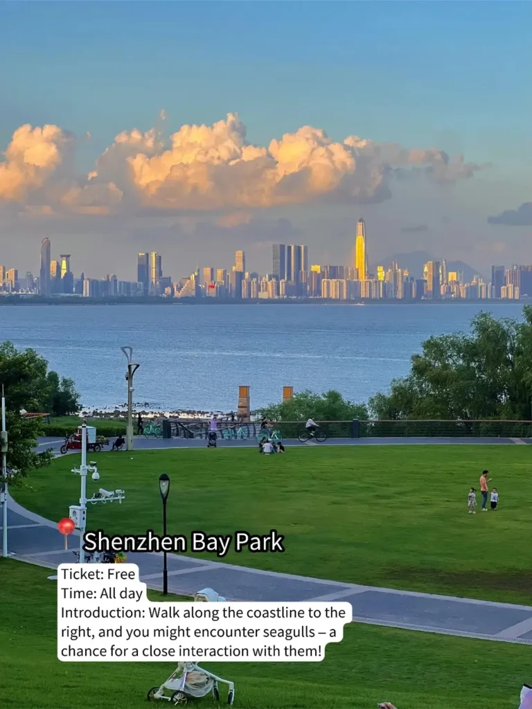 Shenzhen Travel Guide