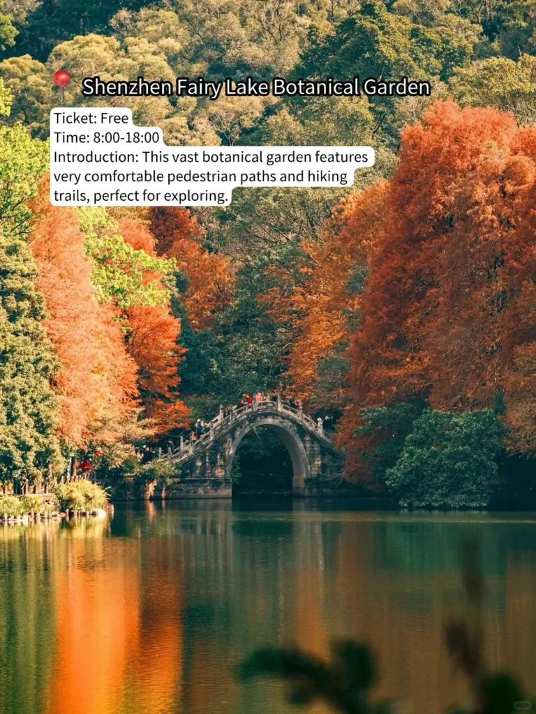 Shenzhen Travel Guide