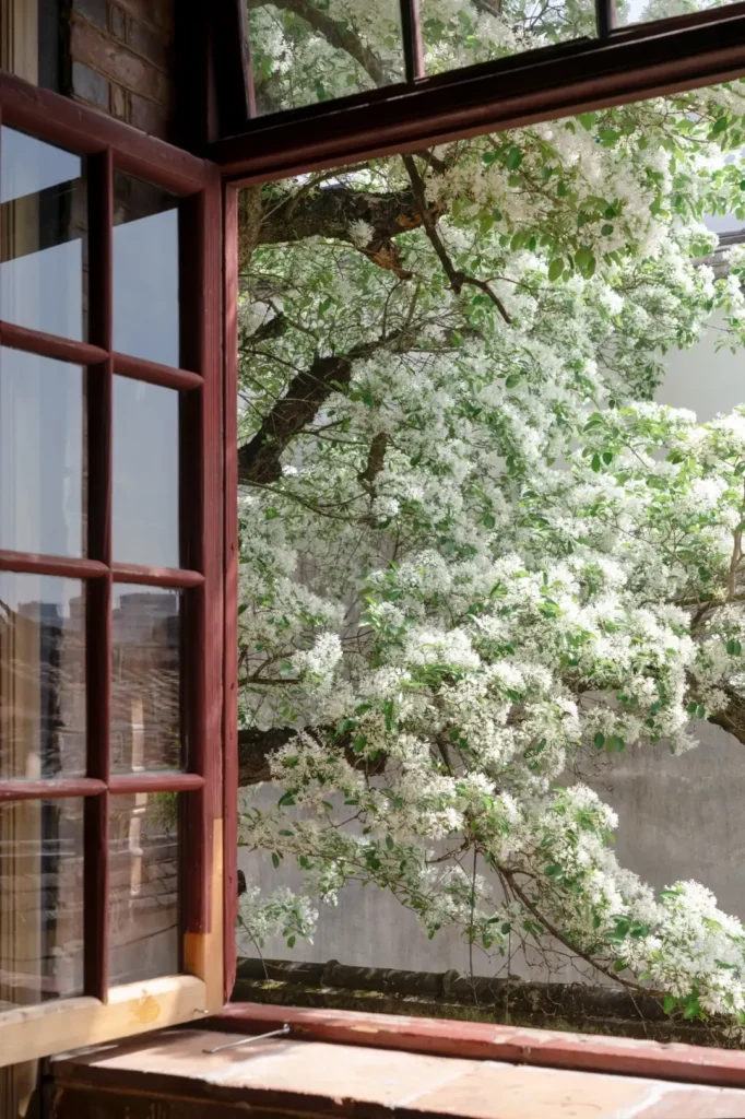 Fuzhou itinerary
Fuzhou travel guide
Fujian travel
Sanfang Qixiang