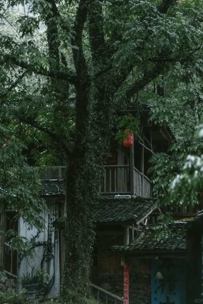 Jiangxi Itinerary
Jiangxi culture tour
Jingdezhen pottery guide
Wuyuan ancient villages|
Sanbao International Ceramic Art Village