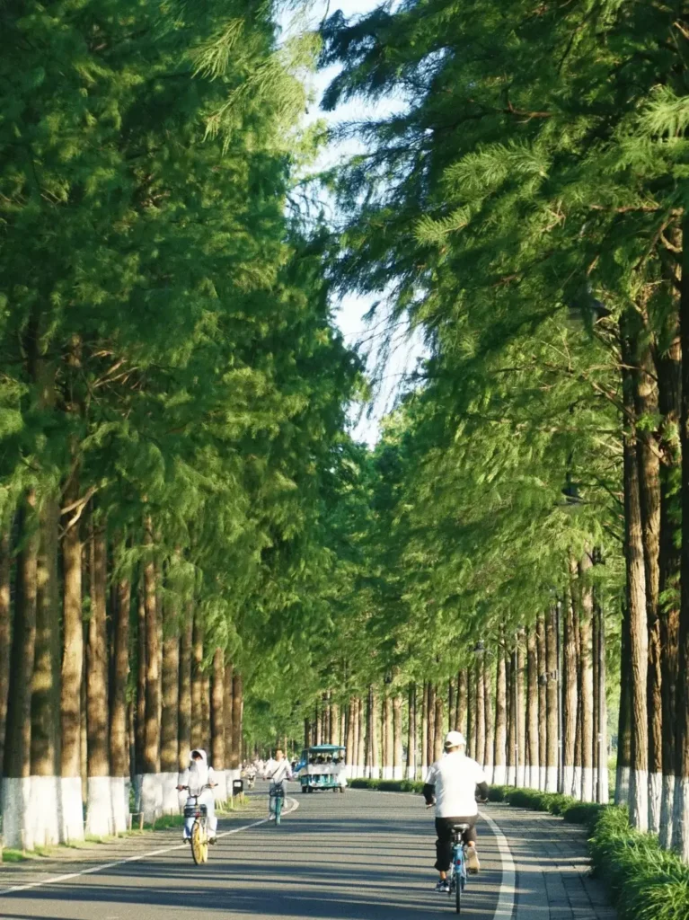 Hubei Itinerary
Hubei culture tour