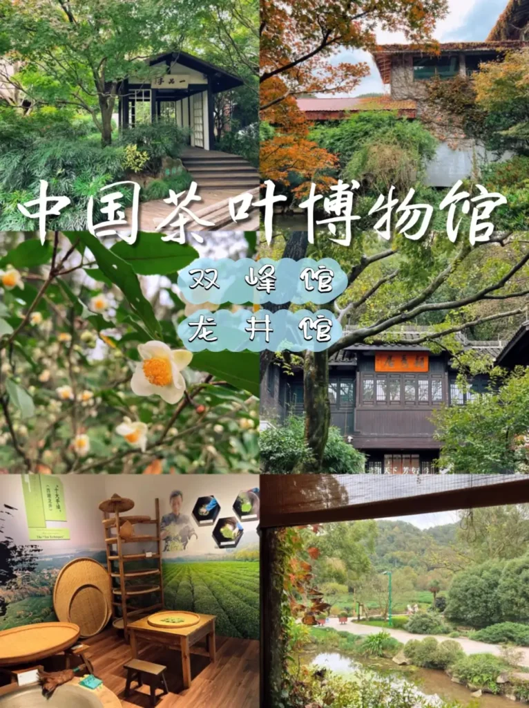 Hangzhou travel guide
Things to do in Hangzhou
Hangzhou 7-day itinerary
Hangzhou culture
China National Tea Museum