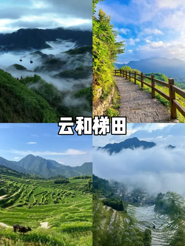 Zhejiangtravel guide
Things to do in Zhejiang
13-day Zhejiang itinerary
Zhejiang water towns
Lishui
Xiandu Scenic Area