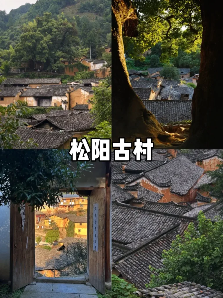 Zhejiangtravel guide
Things to do in Zhejiang
13-day Zhejiang itinerary
Zhejiang water towns
Lishui
Xiandu Scenic Area