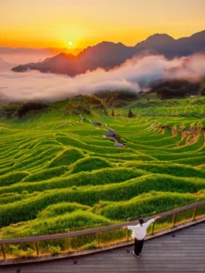 Zhejiang travel guide Things to do in Zhejiang 13-day Zhejiang itinerary Zhejiang water towns