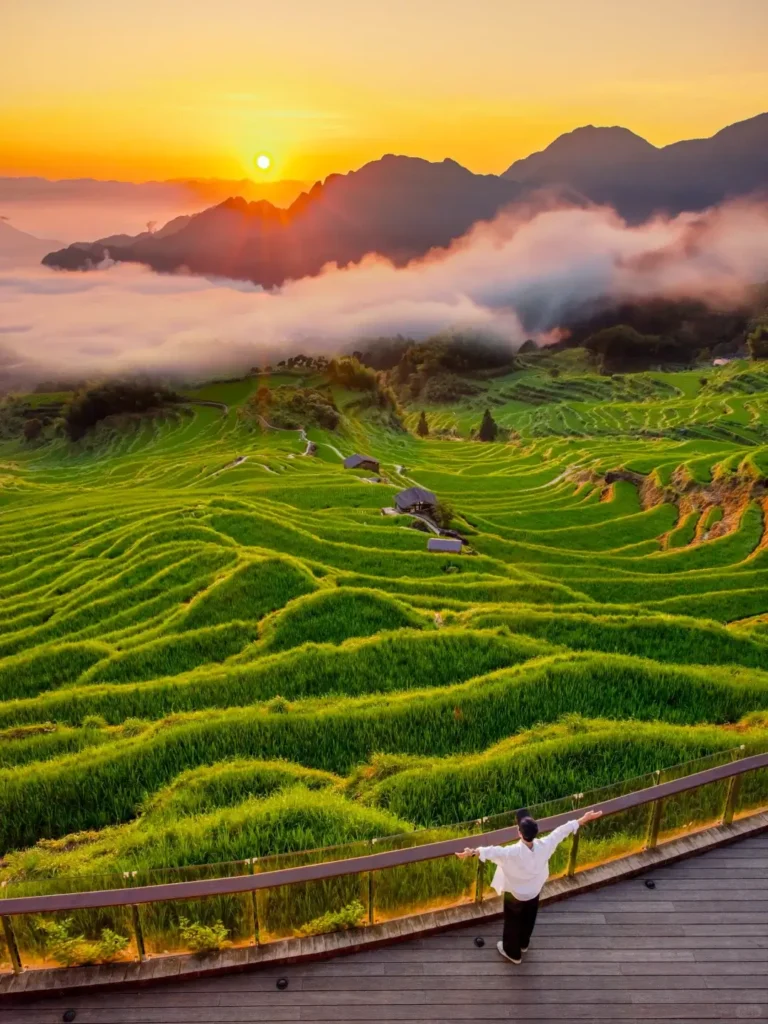 Zhejiangtravel guide
Things to do in Zhejiang
13-day Zhejiang itinerary
Zhejiang water towns
Lishui
Xiandu Scenic Area