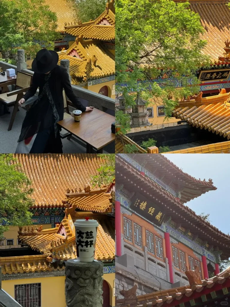 China Itinerary
13 days off the beaten path
Mount Tai hike
Confucius hometown
Thousand Buddha Mountain