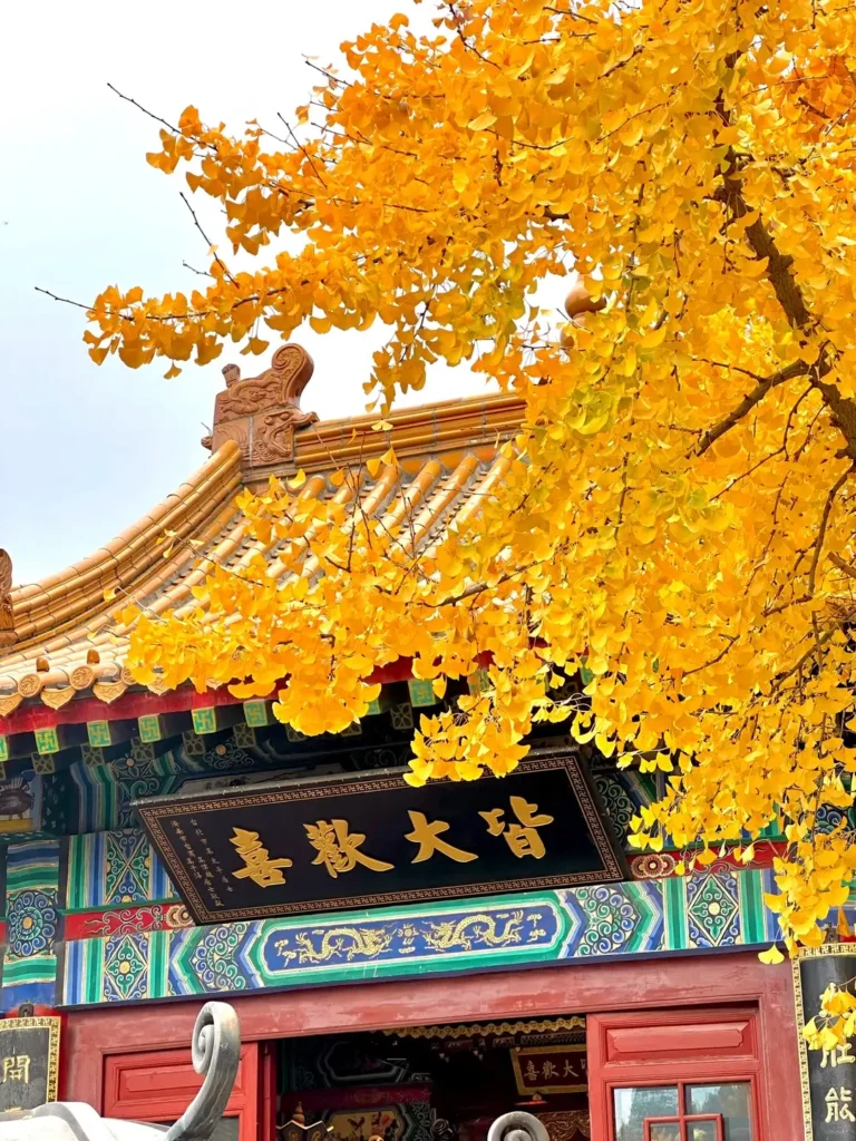 China Itinerary
13 days off the beaten path
Mount Tai hike
Confucius hometown
Thousand Buddha Mountain