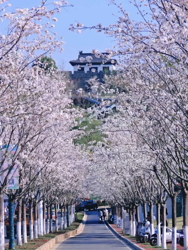 Nanjing
7-Day Jiangsu Itinerary