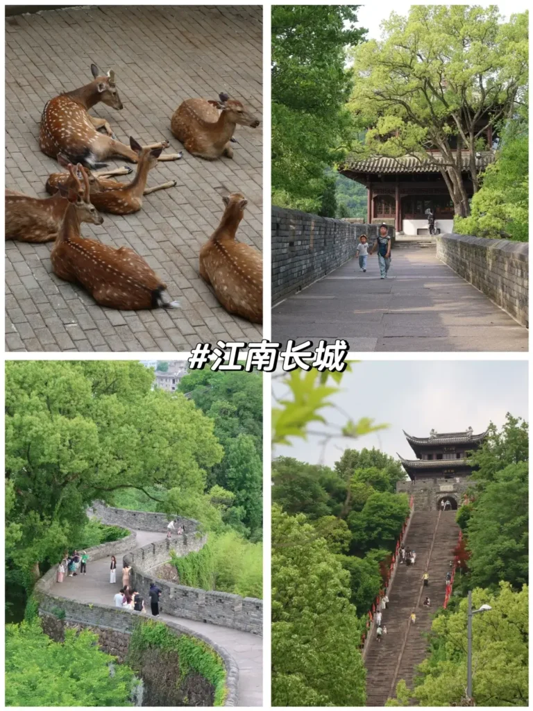 Zhejiangtravel guide
Things to do in Zhejiang
13-day Zhejiang itinerary
Zhejiang water towns
Taizhou
Linhai Ancient City