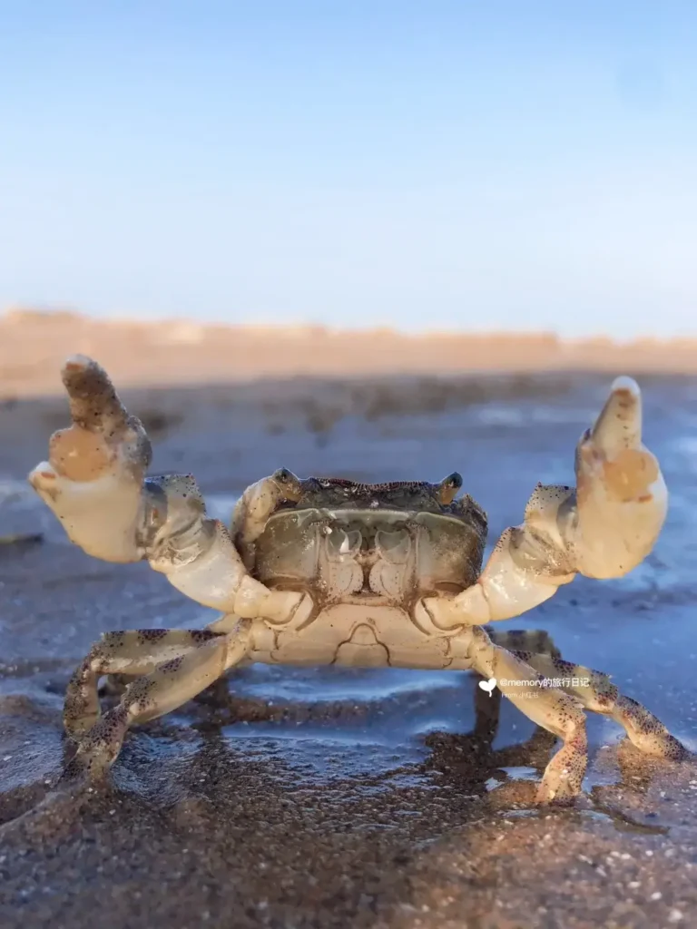 China Itinerary
13 days off the beaten path
Mount Tai hike
Confucius hometown
Weihai