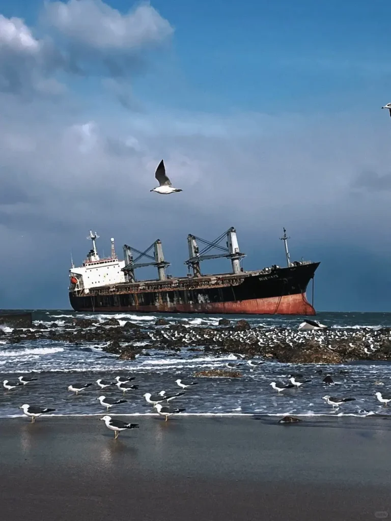 8-Day Qingdao Itinerary
Weihai coastal tour