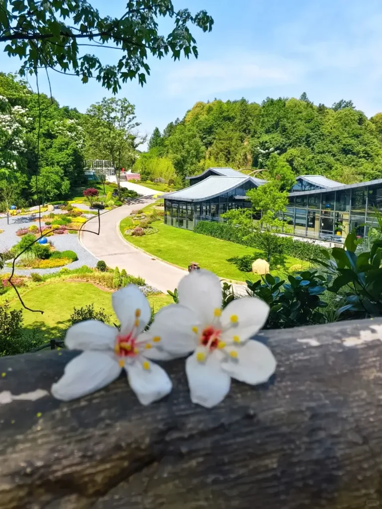 Jiangxi Itinerary
Jiangxi culture tour
Wuyuan ancient villages
Moon Bay