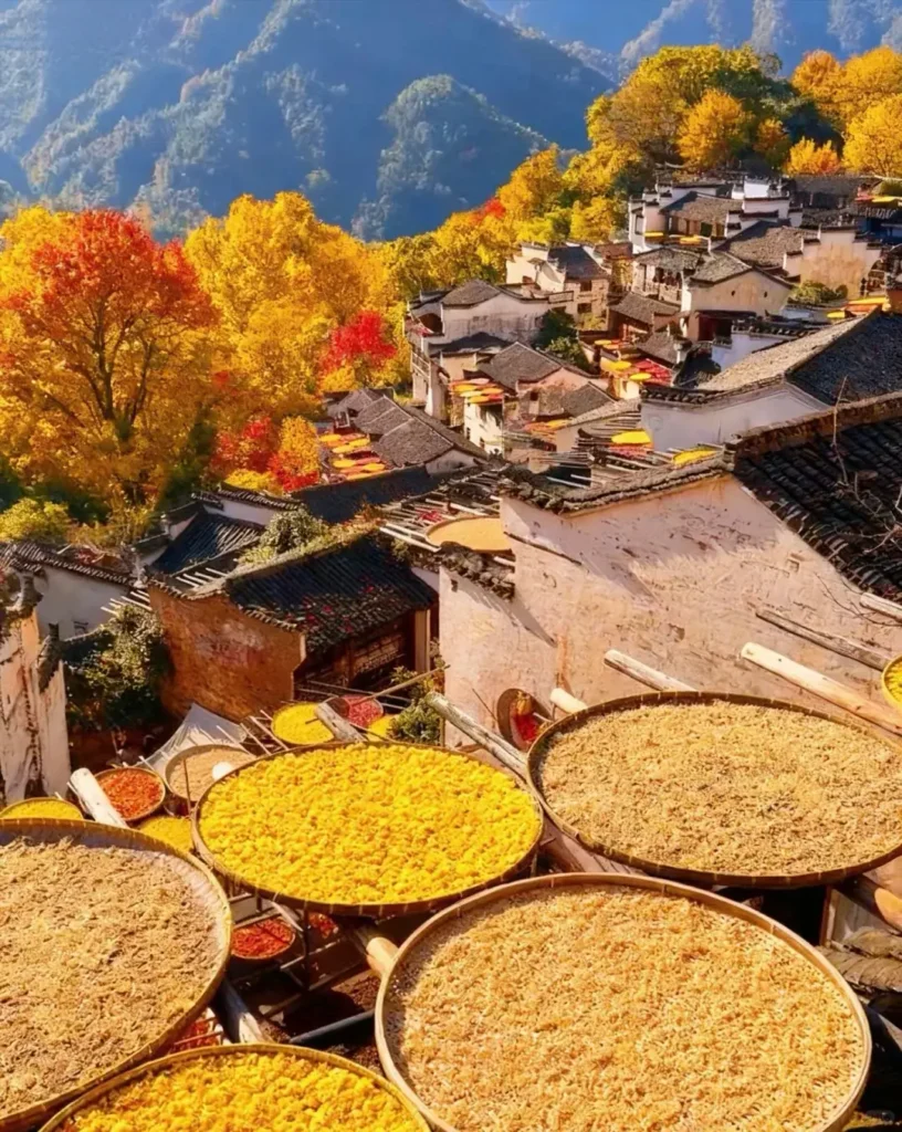 Jiangxi Itinerary
Jiangxi culture tour
Wuyuan ancient villages
Huangling Village