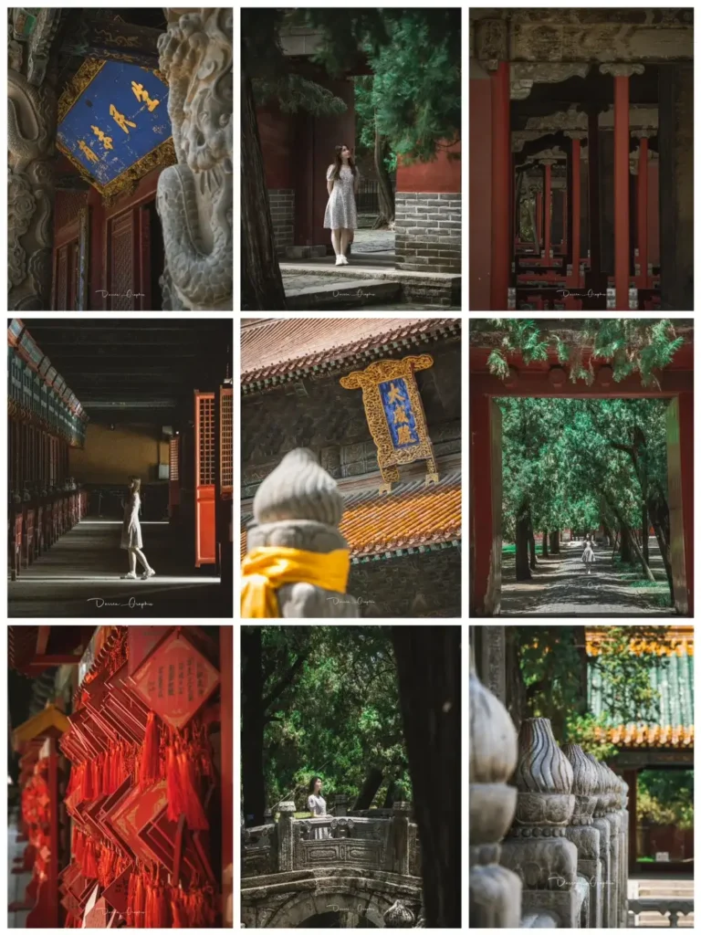 China Itinerary
13 days off the beaten path
Mount Tai hike
Confucius hometown
Qingdao coast
Three Kongs