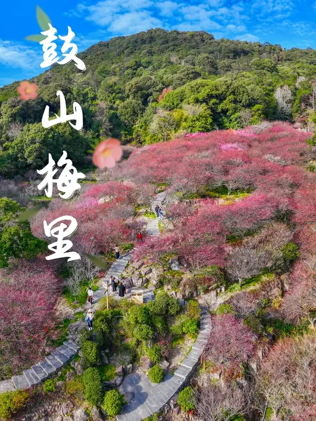 Quanzhou
Fujian Itinerary
Fujian culture tour
Mount Drum
Yongquan Temple