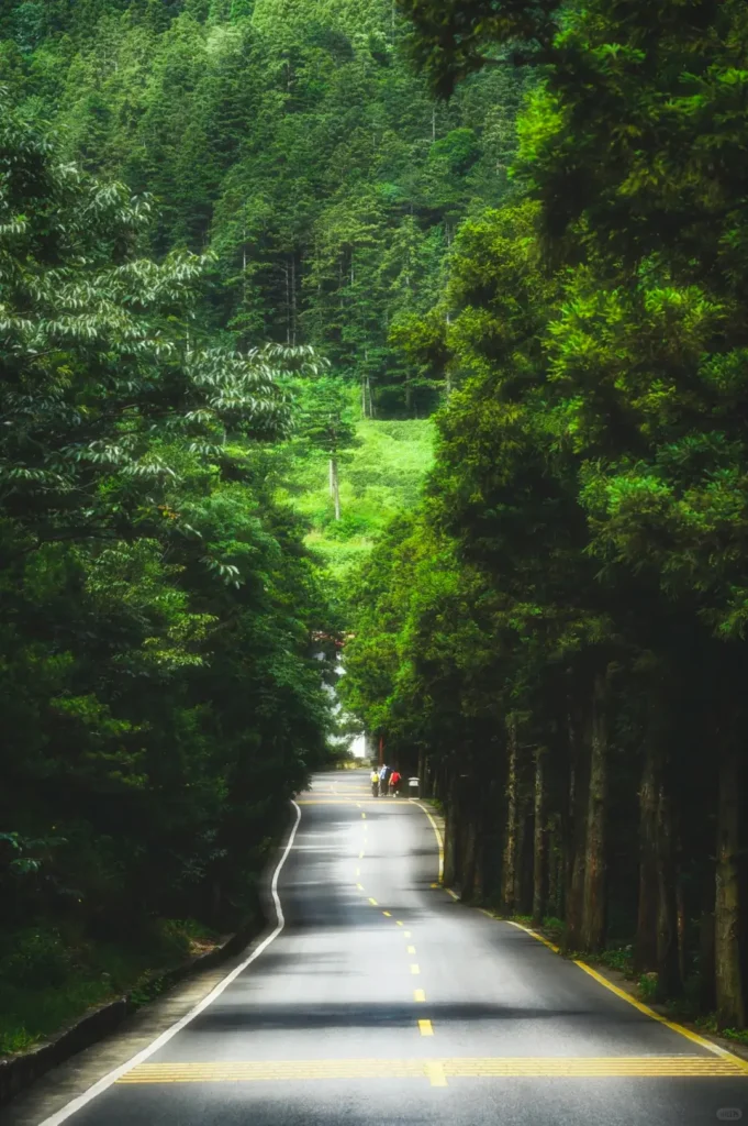 Jiangxi Itinerary
Jiangxi culture tour
Mount Lu hiking
Jiujiang