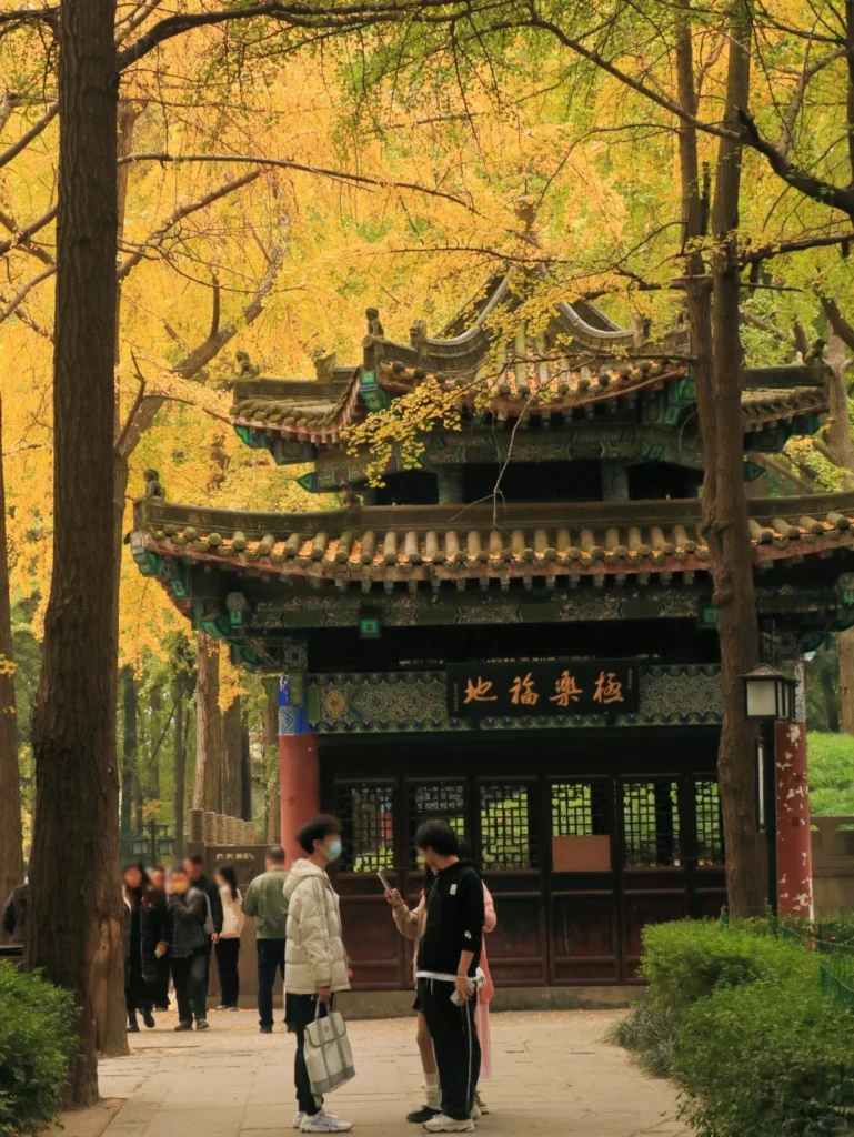 Wenshu Monastery
WenShu Monastery