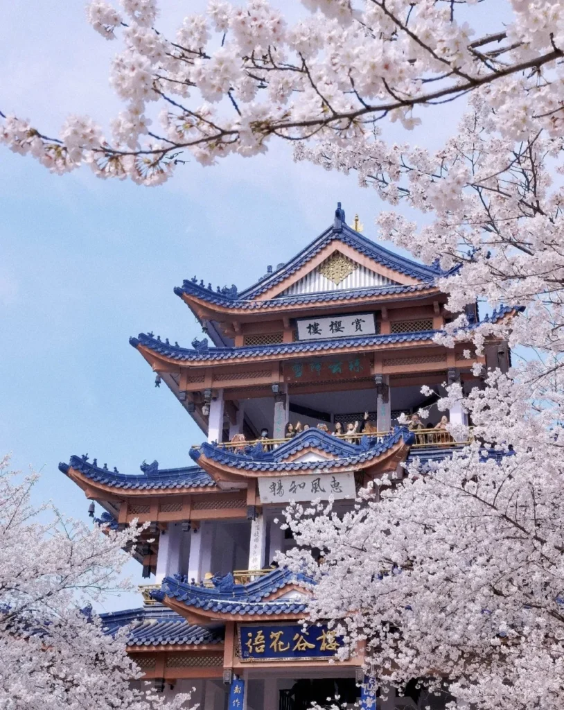 Wuxi Taihu Lake
7-Day Jiangsu Itinerary