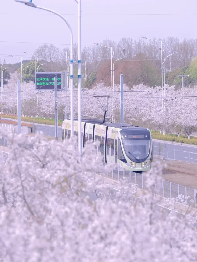 7-Day Jiangsu Itinerary