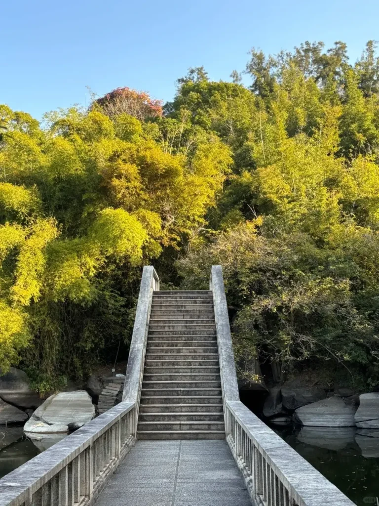 Xiamen itinerary
Xiamen travel guide
Fujian travel
Gulangyu Island
Rainforest Mists & Heavy Artillery
Minnan culture