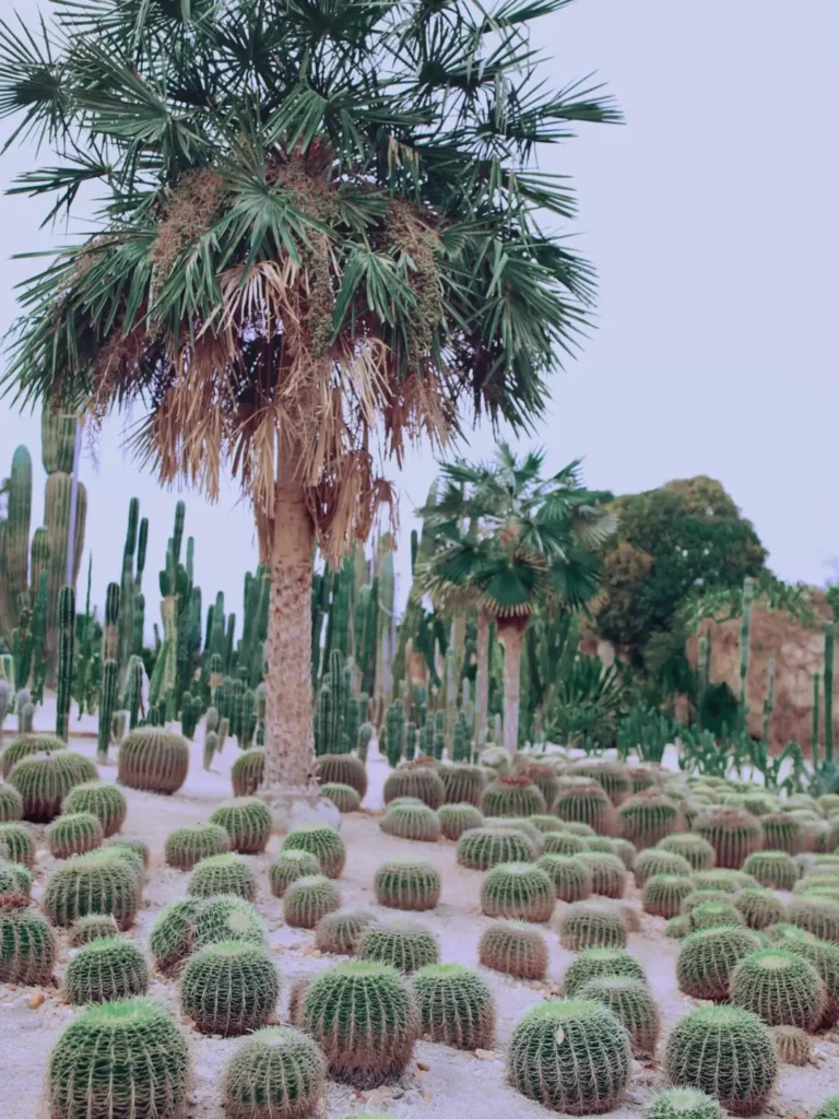 Xiamen itinerary
Xiamen travel guide
Fujian travel
Gulangyu Island
Rainforest Mists & Heavy Artillery
Minnan culture