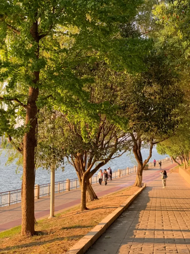 Hunan Itinerary
Changsha itinerary
Hunan spicy food culture
Orange Isle & Mao’s Colossal Bust