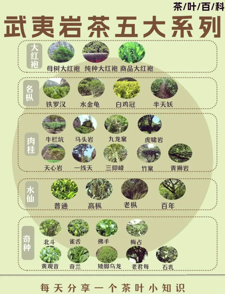 Wuyi Mountains tea
Fujian Itinerary
Fujian culture tour
Wuyishan Departure