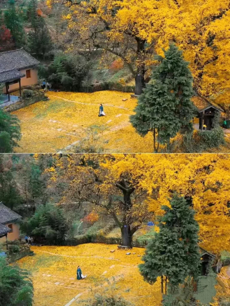 Hubei Itinerary
Hubei culture tour
Wudang Mountains Taoism
Wudangshan Departure