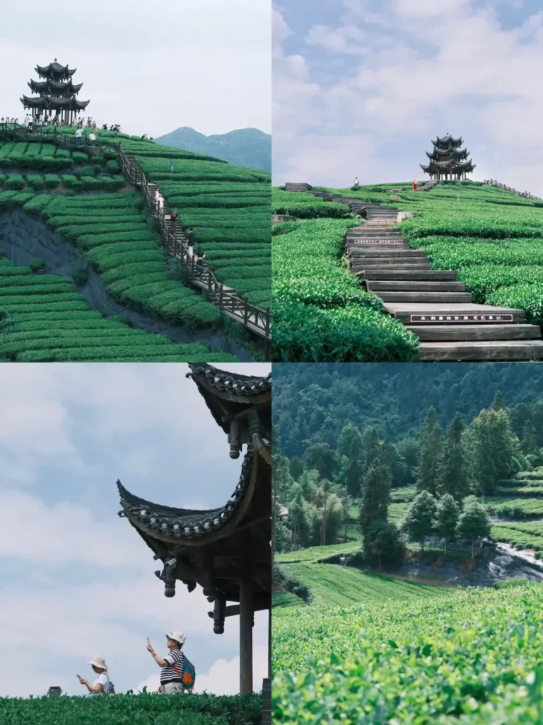 Hubei Itinerary
Hubei culture tour
Wudang Mountains Taoism
Wudangshan Departure