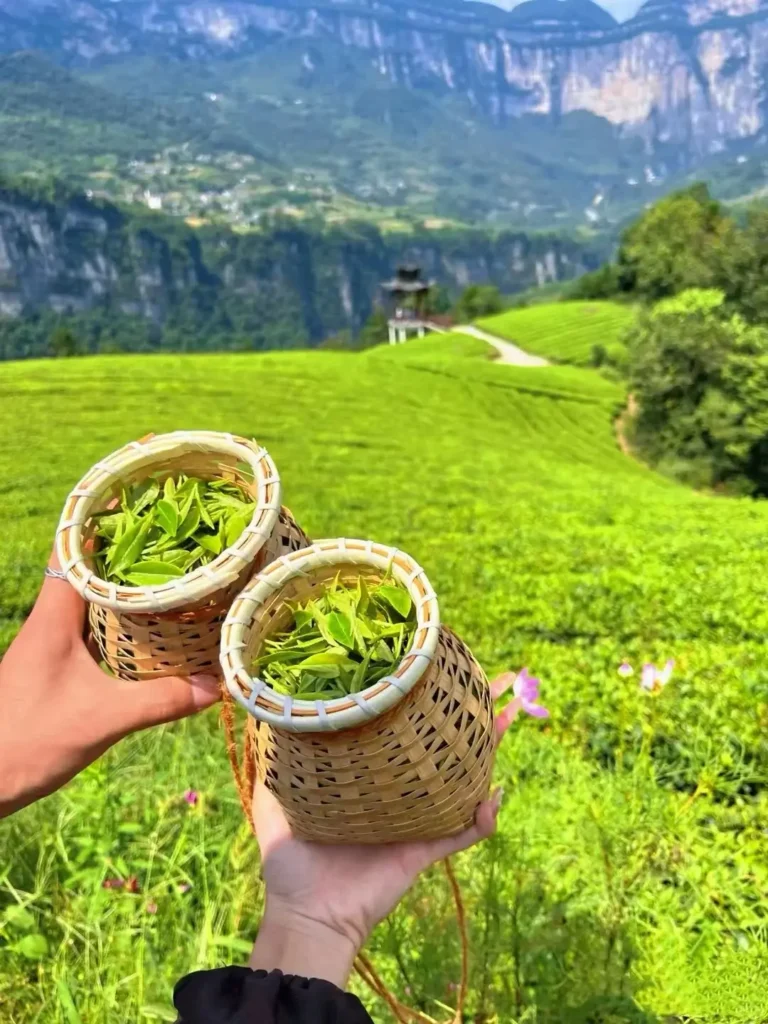 Hubei Itinerary
Hubei culture tour
Wudang Mountains Taoism
Wudangshan Departure