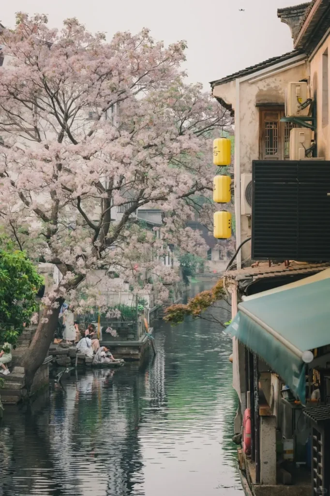 Jiangnan adventure
Zhejiangtravel guide
Things to do in Zhejiang
13-day Zhejiang itinerary
Zhejiang water towns
Ancient Water Towns