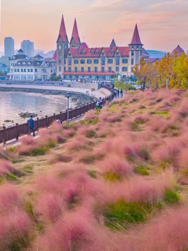 8-Day Qingdao Itinerary
Yantai wine tasting
Best seafood in China
Yantai Fishermen's Wharf