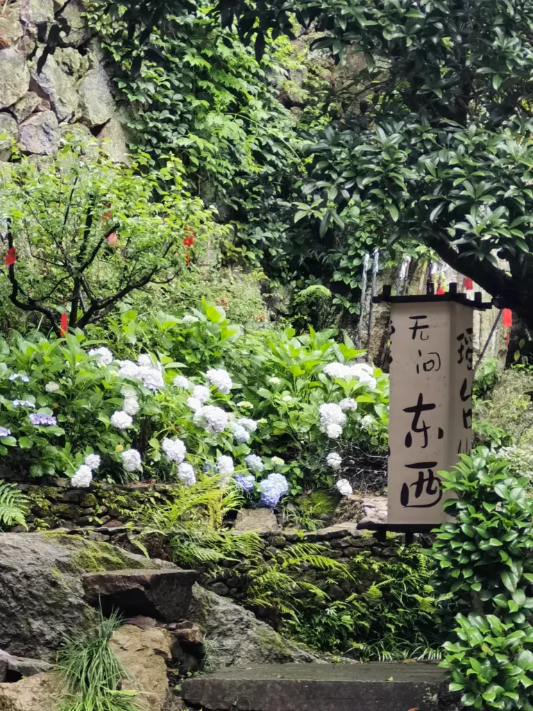 Zhejiangtravel guide
Things to do in Zhejiang
Wenzhou
13-day Zhejiang itinerary
Zhejiang water towns
Yandang Mountain