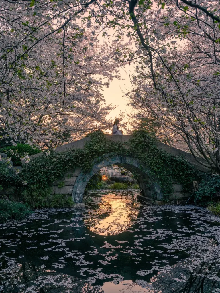 Hangzhou travel guide
Things to do in Hangzhou
Hangzhou 7-day itinerary
Hangzhou culture
Hubin Pedestrian Street