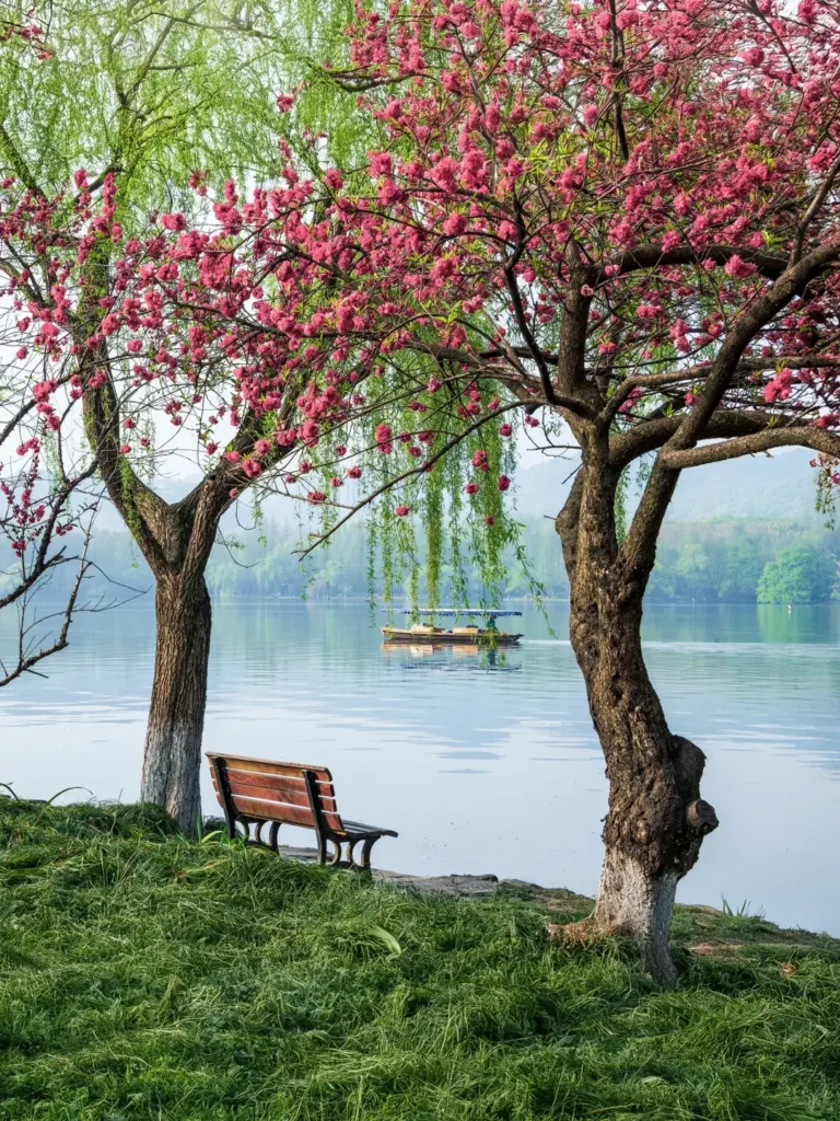 Hangzhou travel guide
Things to do in Hangzhou
Hangzhou 7-day itinerary
Hangzhou culture
Hubin Pedestrian Street
