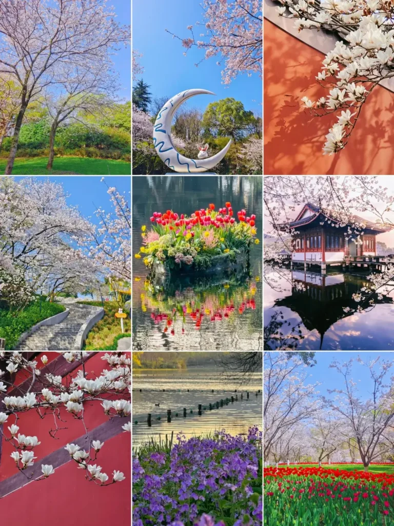 Hangzhou travel guide
Things to do in Hangzhou
Hangzhou 7-day itinerary
Hangzhou culture
Hubin Pedestrian Street