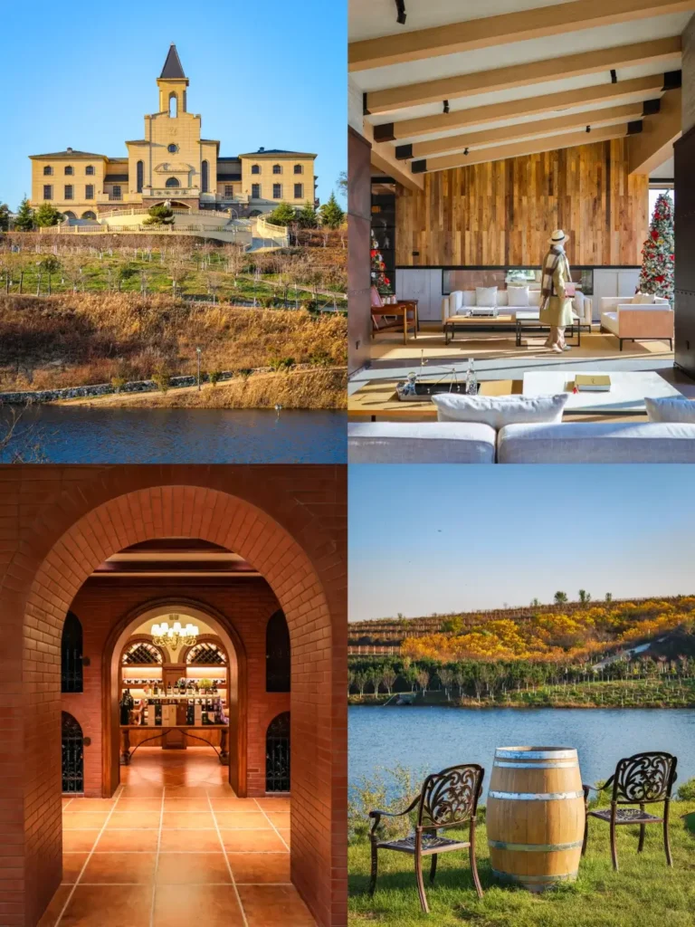 8-Day Qingdao Itinerary
Yantai wine tasting
Best seafood in China