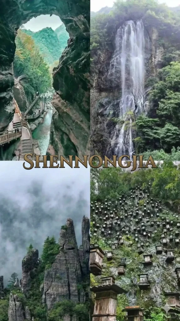 Hubei Itinerary
Hubei culture tour
Wudang Mountains Taoism
Shennongjia Primeval Forest