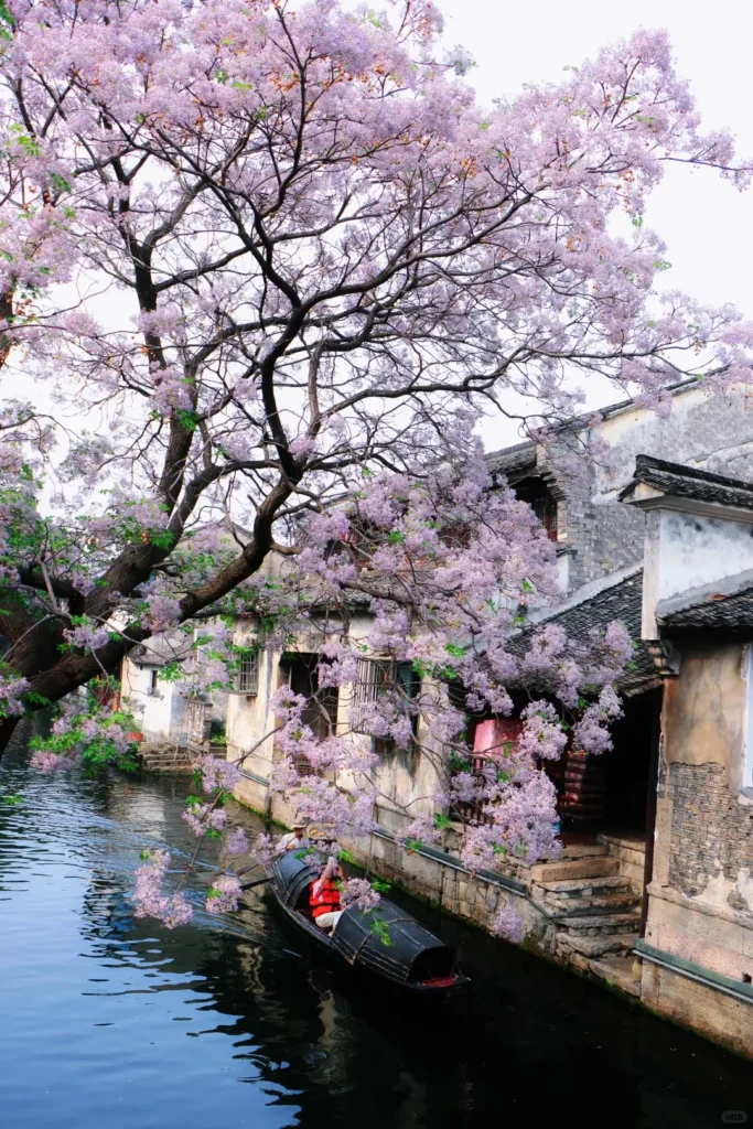 Zhejiangtravel guide
Things to do in Zhejiang
13-day Zhejiang itinerary
Zhejiang water towns
Shaoxing
Venice of the East