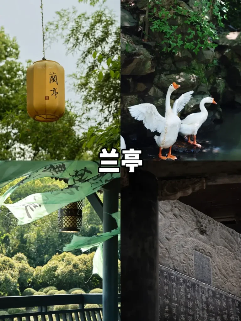 Zhejiangtravel guide
Things to do in Zhejiang
13-day Zhejiang itinerary
Zhejiang water towns|
Shaoxing
Venice of the East