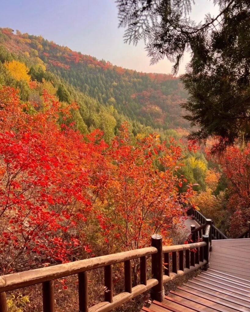 Fragrant Hills Park (Xiangshan)
Beijing Botanical Garden