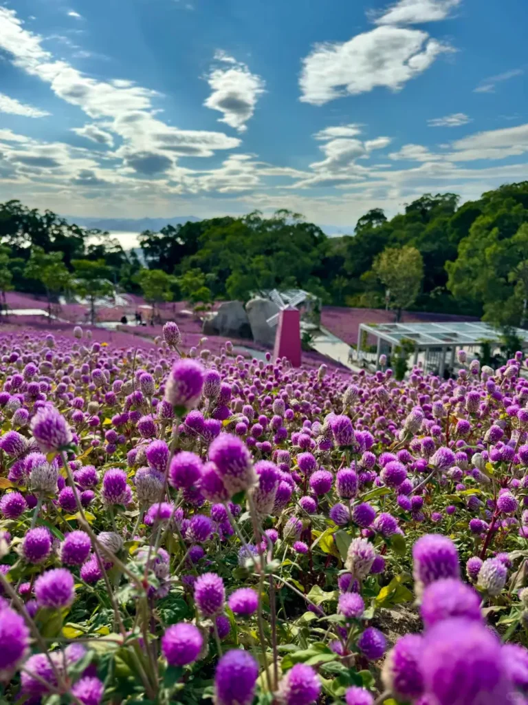 Xiamen itinerary
Xiamen travel guide
Fujian travel
Gulangyu Island
Minnan culture
Gardens