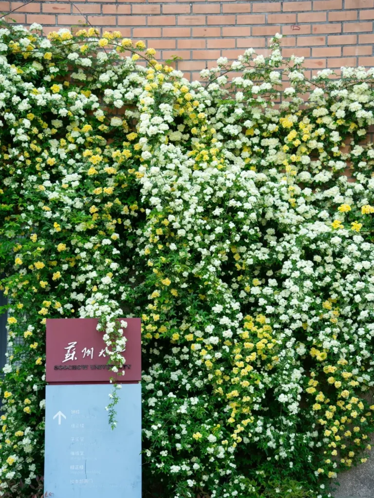 7-Day Jiangsu Itinerary