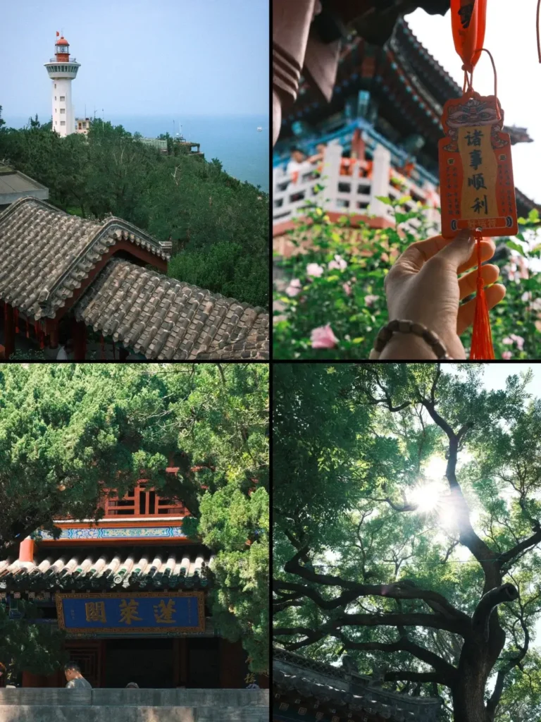 8-Day Qingdao Itinerary
Yantai wine tasting
Penglai Pavilion (Penglai Ge)