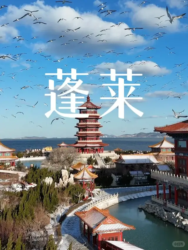 China Itinerary
13 days off the beaten path
Mount Tai hike
Confucius hometown
Qingdao coast
Penglai (Yantai)